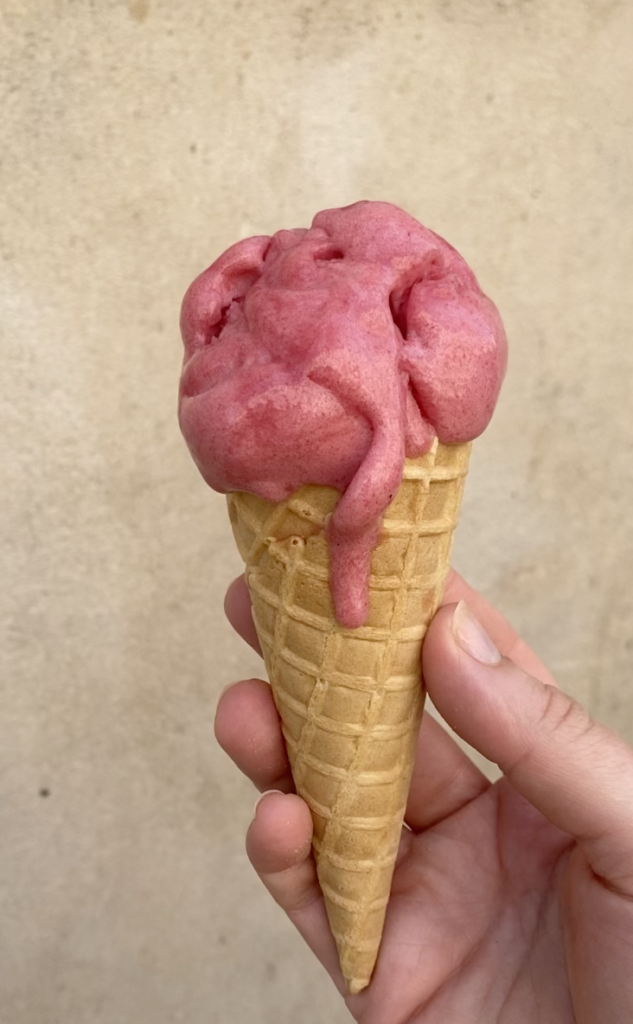 batignolles lesbatignolles paris paris17 blog food foodie glaces glace sorbets sorbets top 5 top5 top5glace meilleuresglaces alainducasse yanncouvreur alameredefamille amorino boulangeriegana